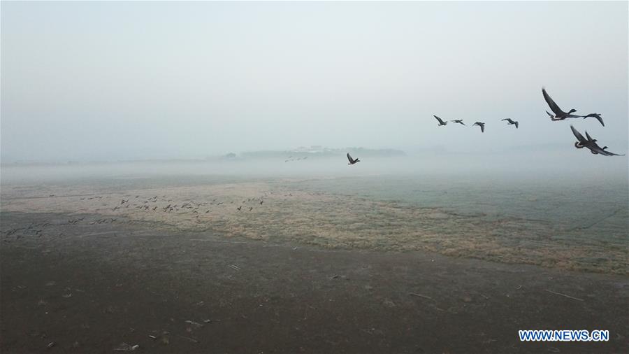 CHINA-ANHUI-SHENGJIN LAKE-MIGRANT BIRDS (CN)