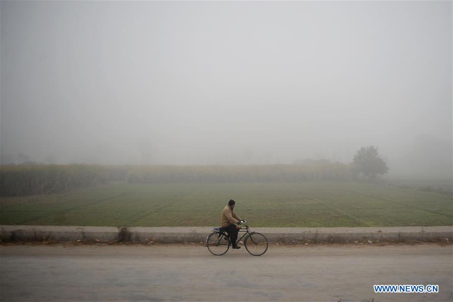 PAKISTAN-PESHAWAR-FOG