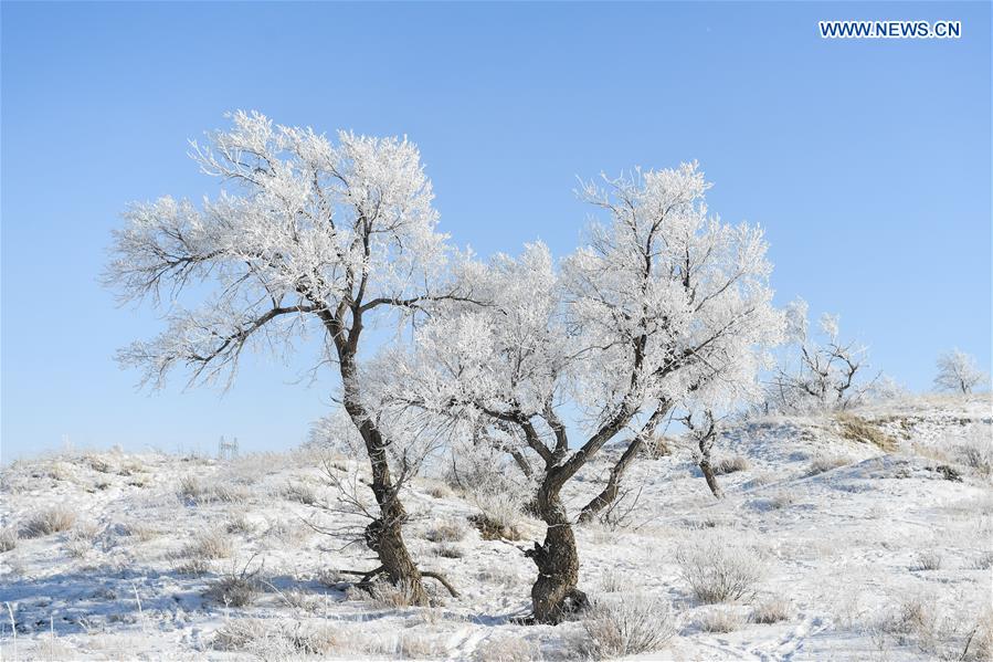 CHINA-INNER MONGOLIA-XILINHOT-GRASSLAND-WINTER SCENERY (CN)