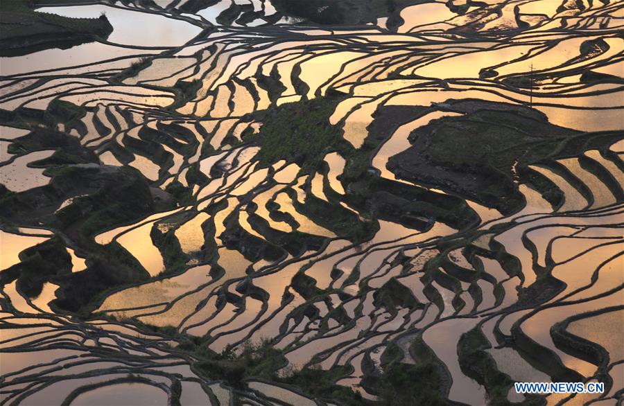 #CHINA-YUNNAN-TERRACED FIELD-SCENERY (CN)