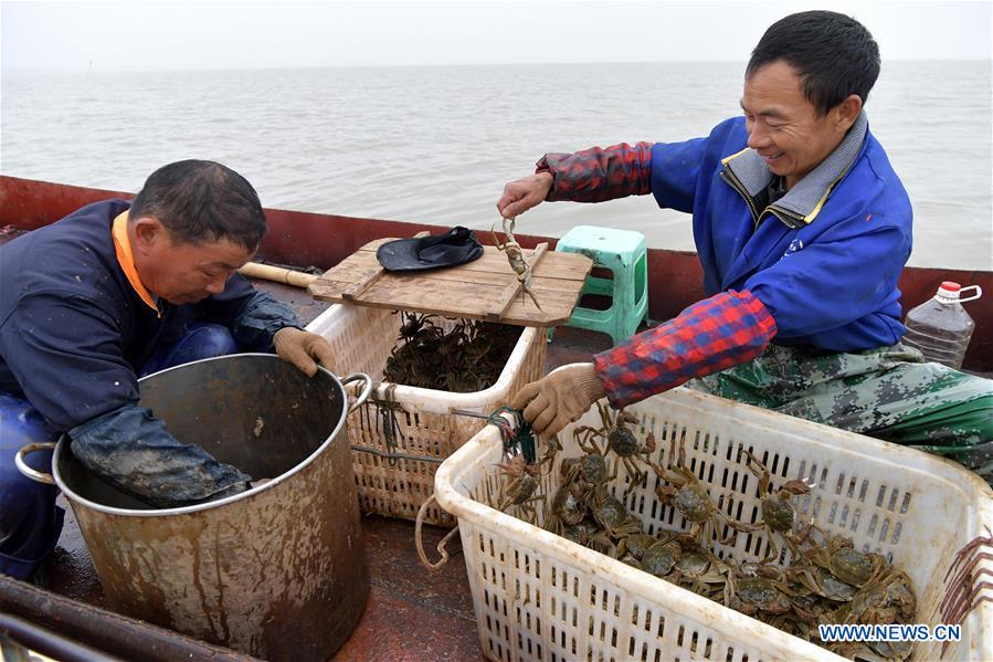 CHINA-JIANGXI-NANCHANG-FISHERY-CRAB (CN)