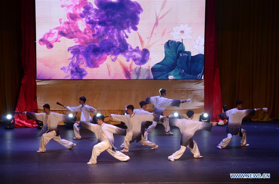 LAOS-VIENTIANE-NIGHT OF CHINESE CULTURE AND TOURISM