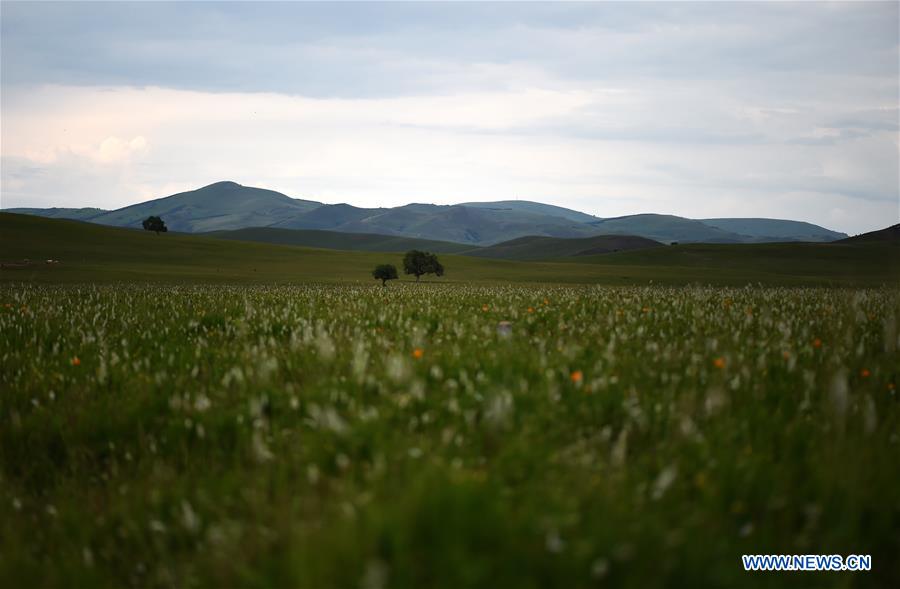 CHINA-INNER MONGOLIA-PASTURE SCENERY (CN)