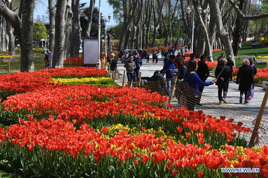 TURKEY-ISTANBUL-GULHANE PARK-TULIPS