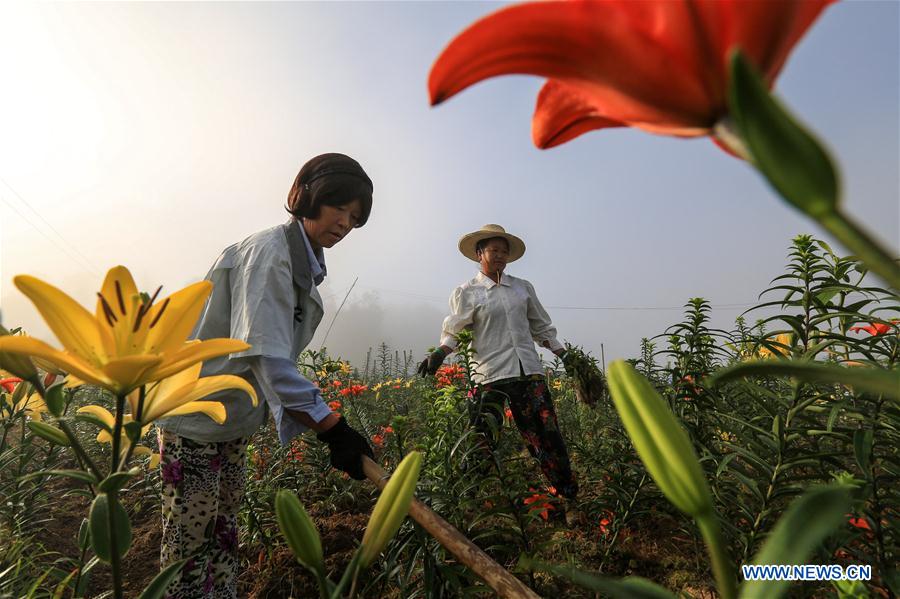 #CHINA-SUMMER-FARMING(CN)