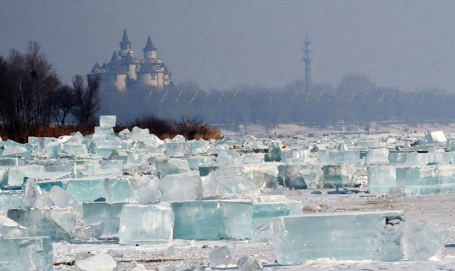 Ice cubes collected for int'l ice and snow festival in NE China