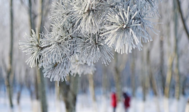 Northeast China's Shenyang covered by rime