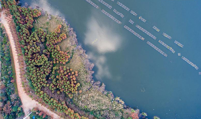 Water quality of Dianchi Lake improved in SW China's Yunnan