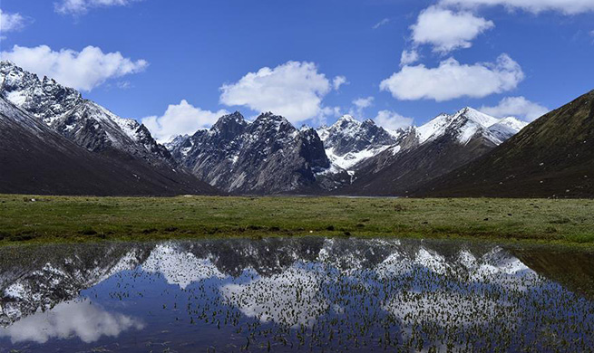 Eco-China: Qinghai takes on new look on ecological environment