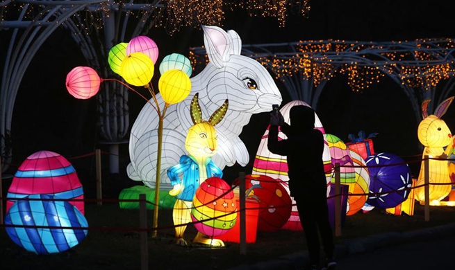 Festival of Chinese lanterns held in Kiev to celebrate upcoming New Year