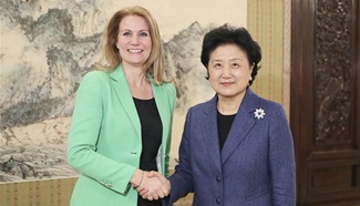 Liu Yandong meets chief executive of Save the Children International