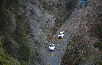 Cold wave brings frost scenery to central China's Hunan