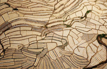 Scenery of terraced watermelon fields in south China's Guangxi