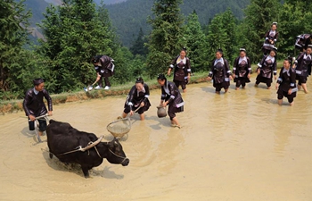 Ploughing festival celebrated in SW China's Guizhou