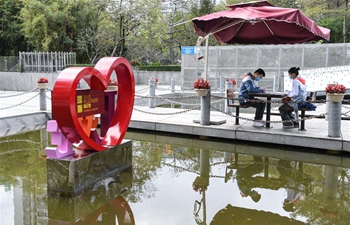 In pics: marriage registration in Shenzhen