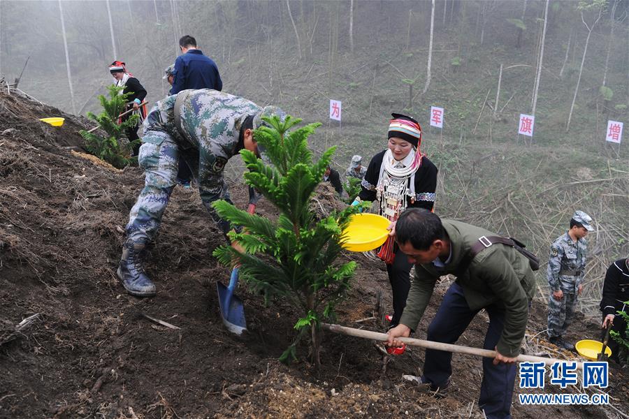 （图文互动）（6）和平年代，离死神最近的人——南部战区陆军云南扫雷大队边境扫雷排爆记事