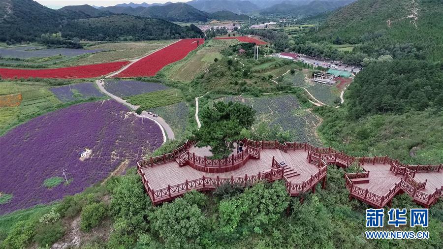 （十九大·读报告 话民生）（10）加快生态文明体制改革，建设美丽中国