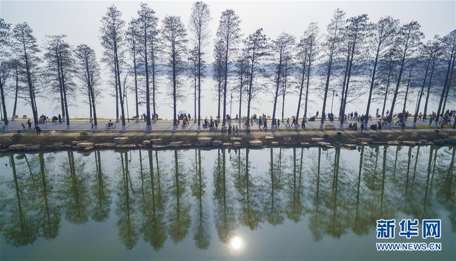 （十九大·读报告 话民生）（13）加快生态文明体制改革，建设美丽中国