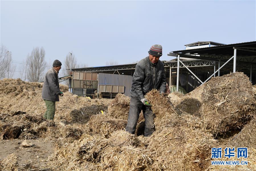 （在习近平新时代中国特色社会主义思想指引下——新时代新气象新作为·乡村振兴战略·图文互动）（2）“与其放火，不如打包”——山西浑源秸秆综合再利用见闻