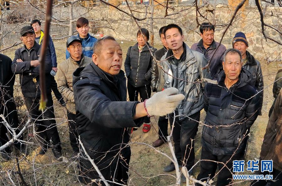 （改革先鋒風(fēng)采·圖文互動(dòng)）（2）李保國(guó)：開創(chuàng)山區(qū)扶貧新路的“太行山愚公”