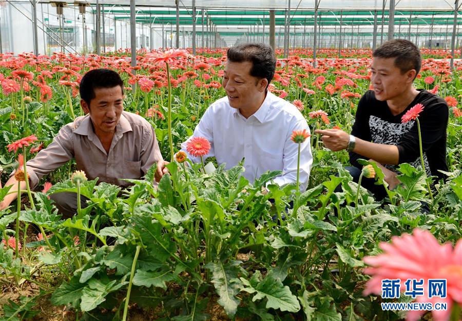 （新華全媒頭條·愛國情 奮斗者·圖文互動）（8）致敬，為祖國獻(xiàn)身的英雄！