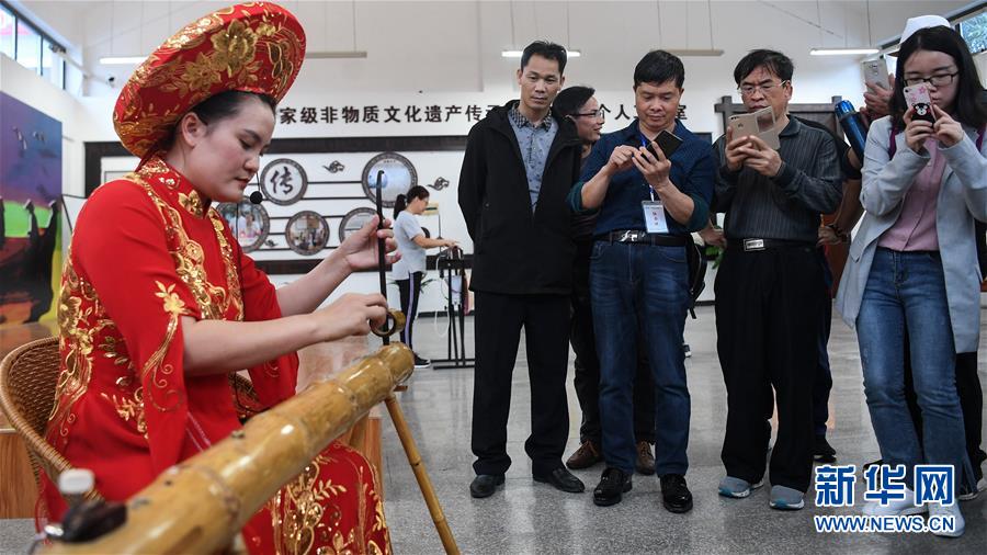 （壮丽70年 奋斗新时代——推动高质量发展调研行·图文互动）（6）近海能看鲸鱼白海豚，广西这片滨海旅游胜地啥来头？