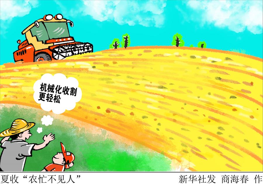 （图表·漫画）[新华视点]夏收“农忙不见人”