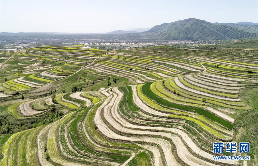 （新華全媒頭條·壯麗70年·奮斗新時(shí)代·圖文互動(dòng)）（6）中國減貧的西海固報(bào)告