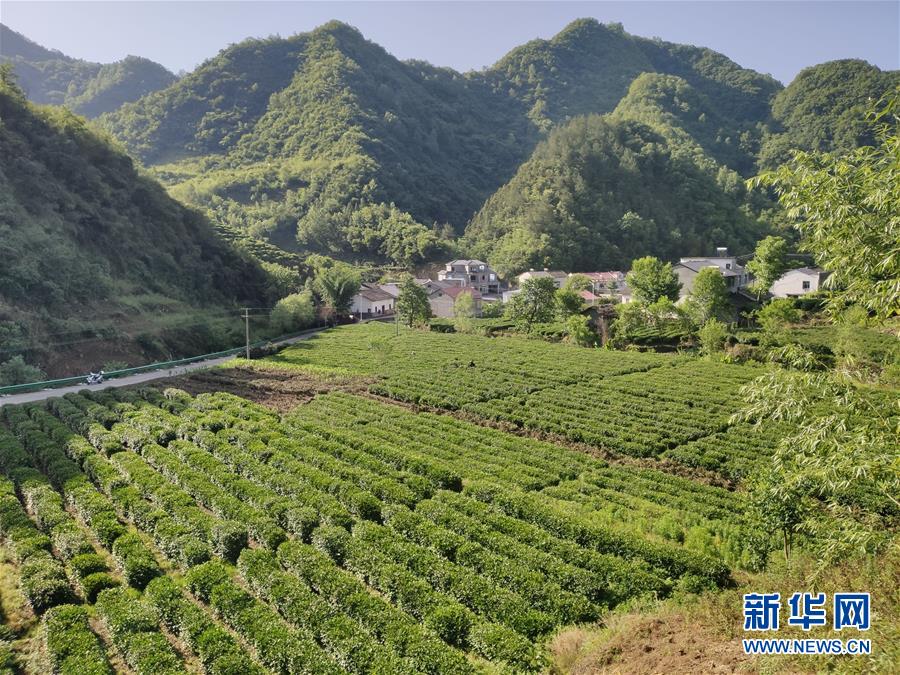 （圖文互動）（1）漢江畔崛起生態(tài)城——來自南水北調(diào)中線核心水源地的調(diào)查報(bào)告