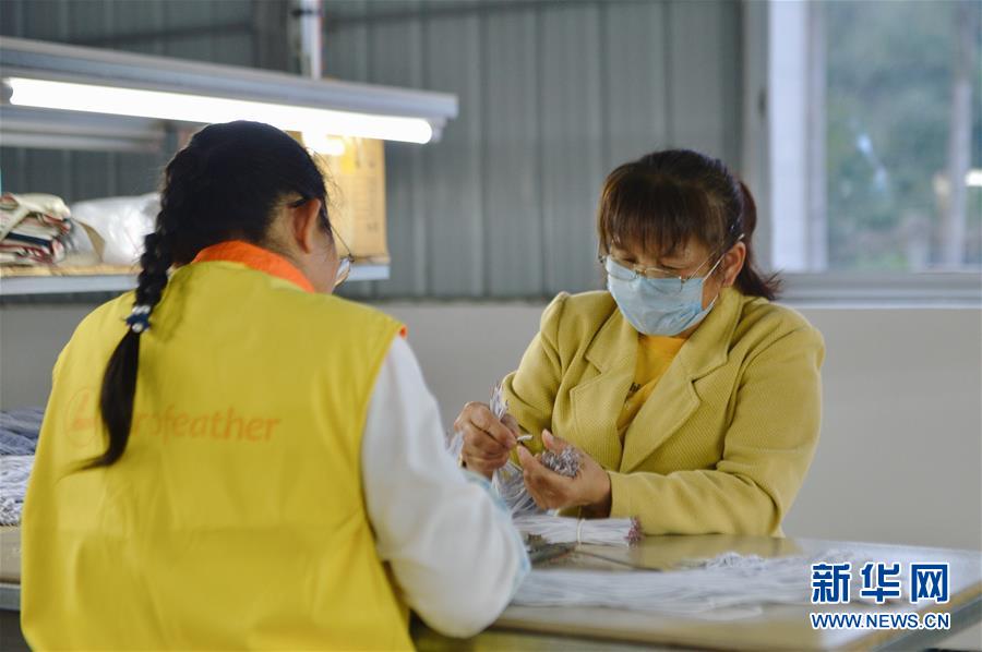 （图文互动）（2）人回乡、钱回流、企回迁——一个大石山区贫困县的返乡创业故事 