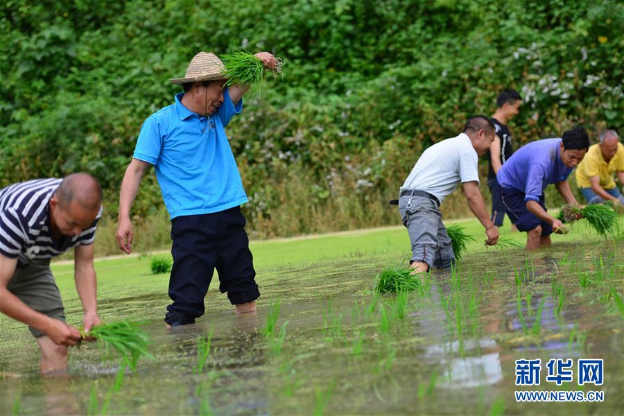 （新華全媒頭條·圖文互動(dòng)）（8）干部去哪兒了？——貴州干部大規(guī)模下沉脫貧攻堅(jiān)一線紀(jì)實(shí)