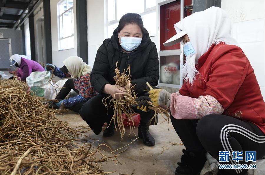 （新华全媒头条·图文互动）（2）特殊时期，他们这样履职——全国人大代表这个春天在行动