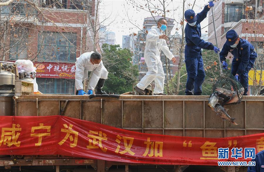 （新华全媒头条·图文互动）（12）从人民中汲取磅礴力量——习近平总书记同出席2020年全国两会人大代表、政协委员共商国是纪实