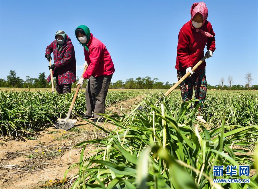 （新华全媒头条·图文互动）（17）从人民中汲取磅礴力量——习近平总书记同出席2020年全国两会人大代表、政协委员共商国是纪实