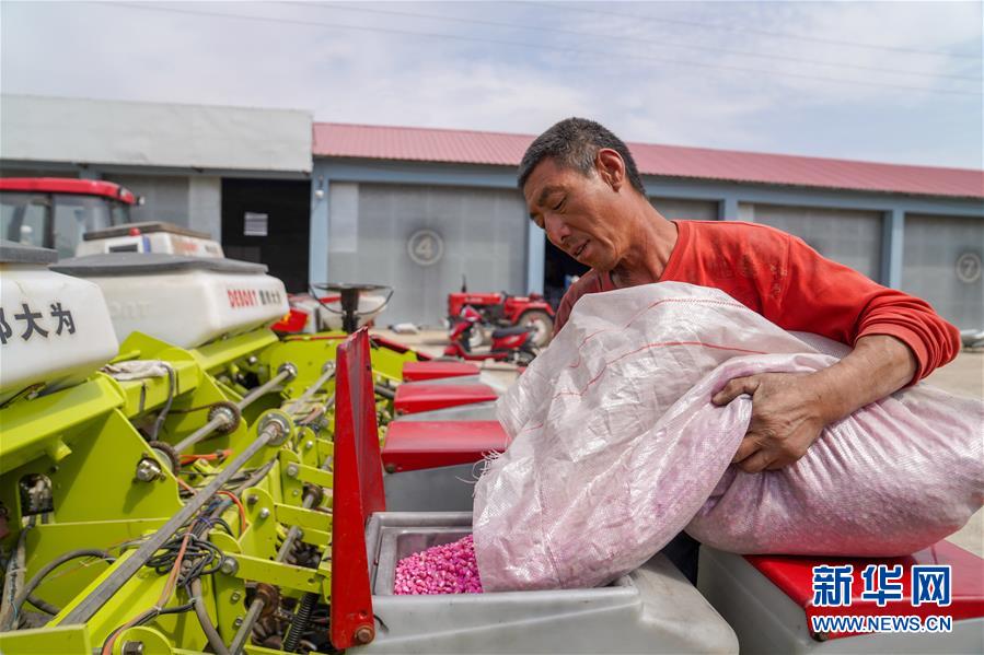 （在习近平新时代中国特色社会主义思想指引下——新时代新作为新篇章·习近平总书记关切事·图文互动）（8）让每一寸耕地都成为丰收的沃土——我国加强耕地?；ね平?ldquo;藏粮于地”