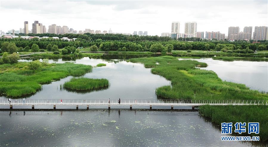 （走向我们的小康生活·图文互动）（1）水清、地绿、空气新——最北省份黑龙江绘就生态治理新画卷