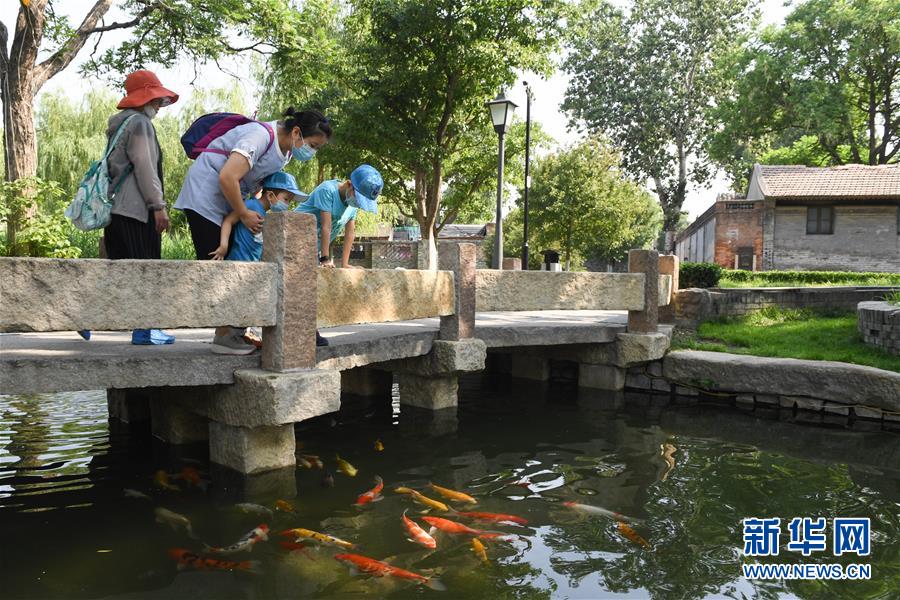 （走向我们的小康生活·图文互动）（2）小桥、流水、书香、人家——老北京胡同里的恬静栖居