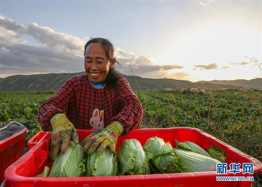 （新华全媒头条·决战决胜脱贫攻坚·督战未摘帽贫困县·图文互动）（1）不获全胜，决不收兵——全国52个挂牌督战贫困县脱贫攻坚纪实