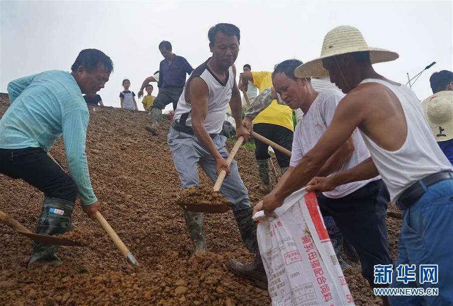 （在习近平新时代中国特色社会主义思想指引下——新时代新作为新篇章·习近平总书记关切事·图文互动）（6）洪峰浪尖，鲜红的党旗高高飘扬——记防汛抗洪一线的共产党员