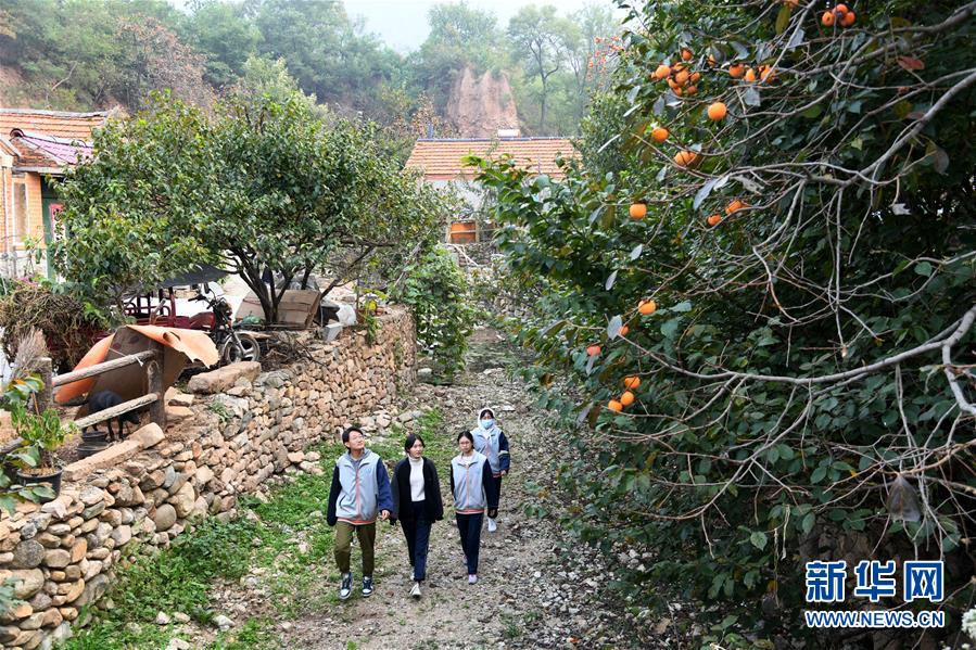 （全面建成小康社会“百城千县万村调研行”·图文互动）（4）青岛西海岸新区以“生态酵母”激活乡村振兴