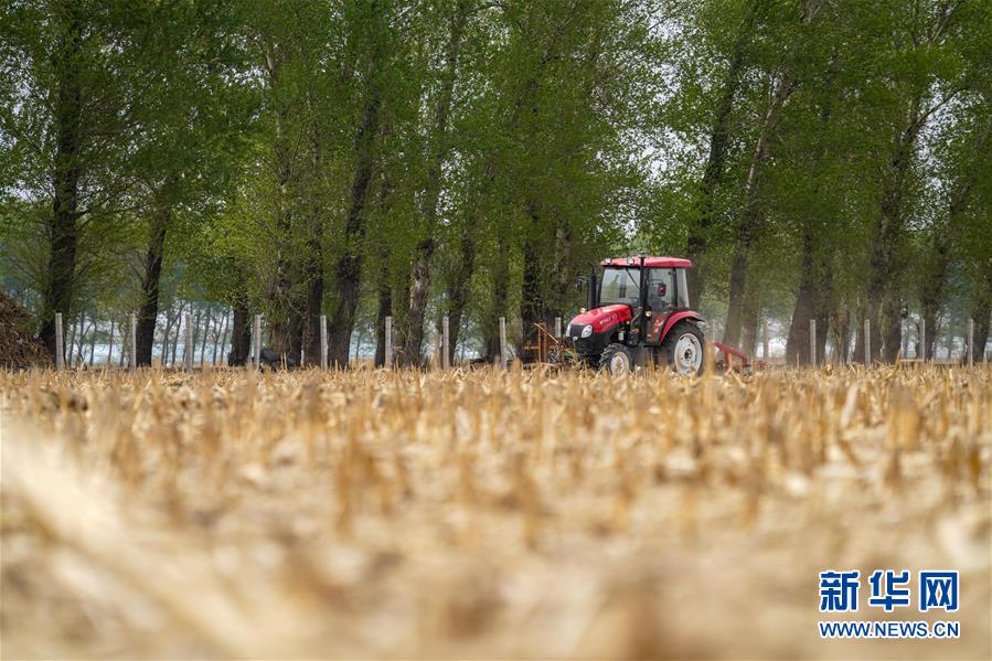 （在习近平新时代中国特色社会主义思想指引下——新时代新作为新篇章·习近平总书记关切事·图文互动）（9）让每一寸耕地都成为丰收的沃土——我国加强耕地?；ね平?ldquo;藏粮于地”