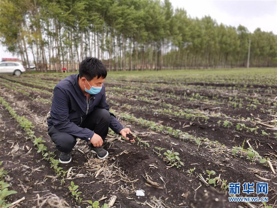 （在习近平新时代中国特色社会主义思想指引下——新时代新作为新篇章·习近平总书记关切事·图文互动）（6）让每一寸耕地都成为丰收的沃土——我国加强耕地?；ね平?ldquo;藏粮于地”