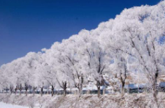 全国初雪时间表出炉 看看你离初雪还有多远？