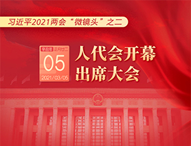 习近平2021两会“微镜头”之二：3月5日 人代会开幕，出席大会