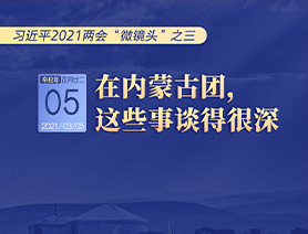 习近平2021两会“微镜头”之三 3月5日 在内蒙古团，这些事谈得很深