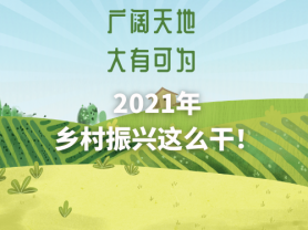 广阔天地 大有可为 2021年乡村振兴这么干！