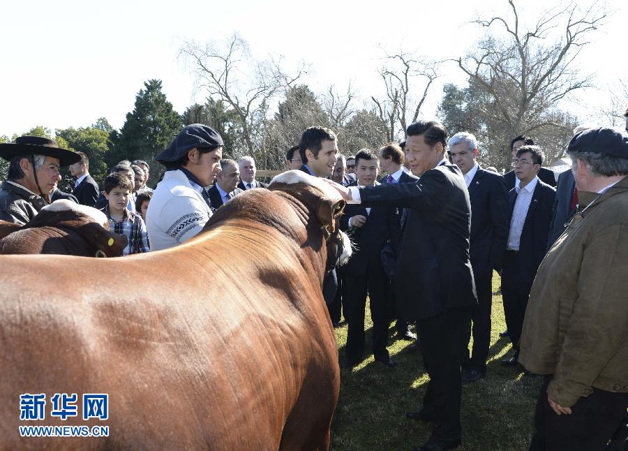 当地时间7月19日，正在对阿根廷进行国事访问的国家主席习近平参观共和国庄园，考察阿根廷农牧业，了解阿根廷农牧民文化特色。新华社记者马占成摄 