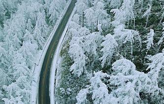 湖北現(xiàn)“林海雪原” 銀裝素裹風(fēng)景如畫(huà)